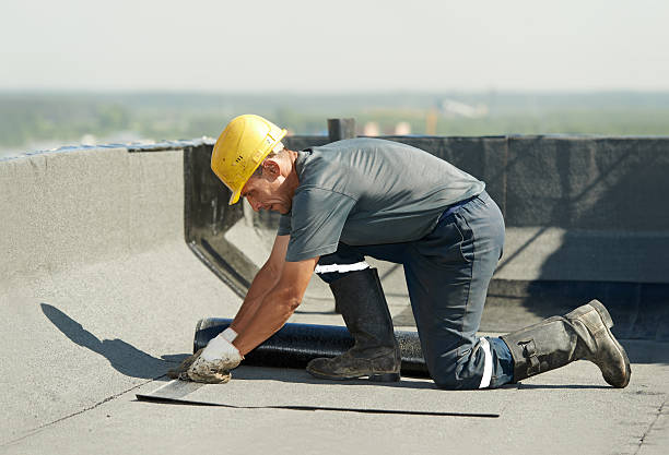 Best Specialized Insulation Services in Shpee Neck, MA