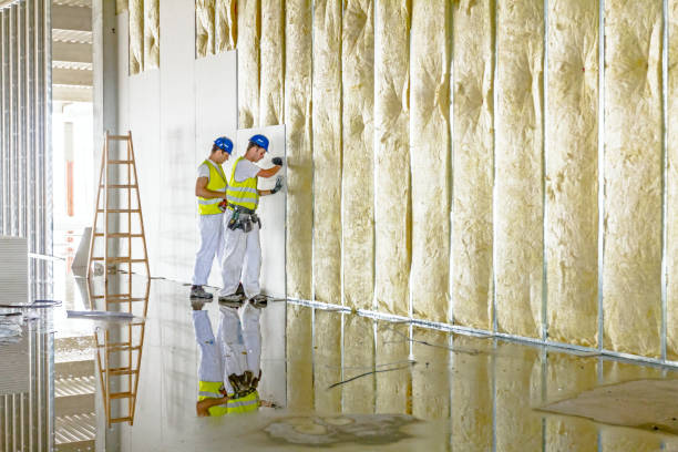 Best Cellulose Insulation in Shpee Neck, MA
